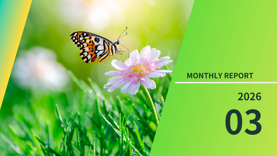 マンスリーレポート